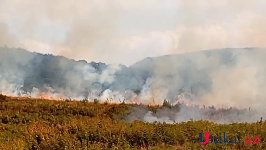Qazaxda meşədəki yanğın söndürüldü - YENİLƏNİB (VİDEO)